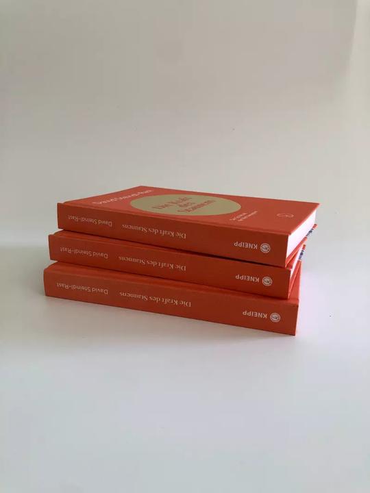 Actual product image Die Kraft des Staunens (German, David Steindl-Rast, 2022)