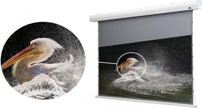 Produktbild Celexon HomeCinema Dynamic Slate ALR (120", 16:9)