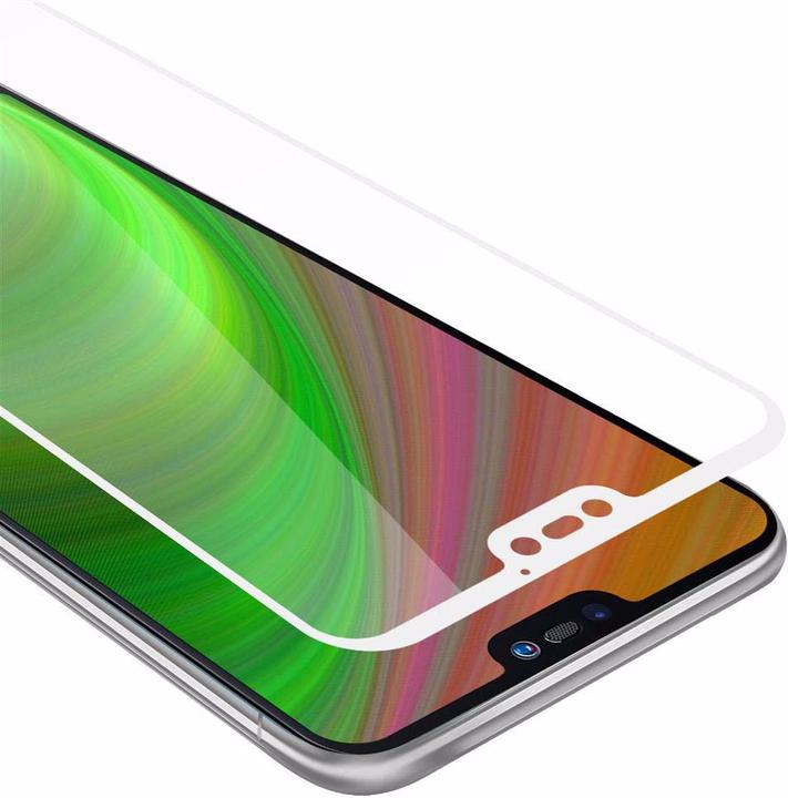 TRANSPARENT with WHITE