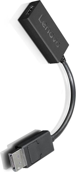 Actual product image Lenovo DP to (HDMI, 22.50 cm)
