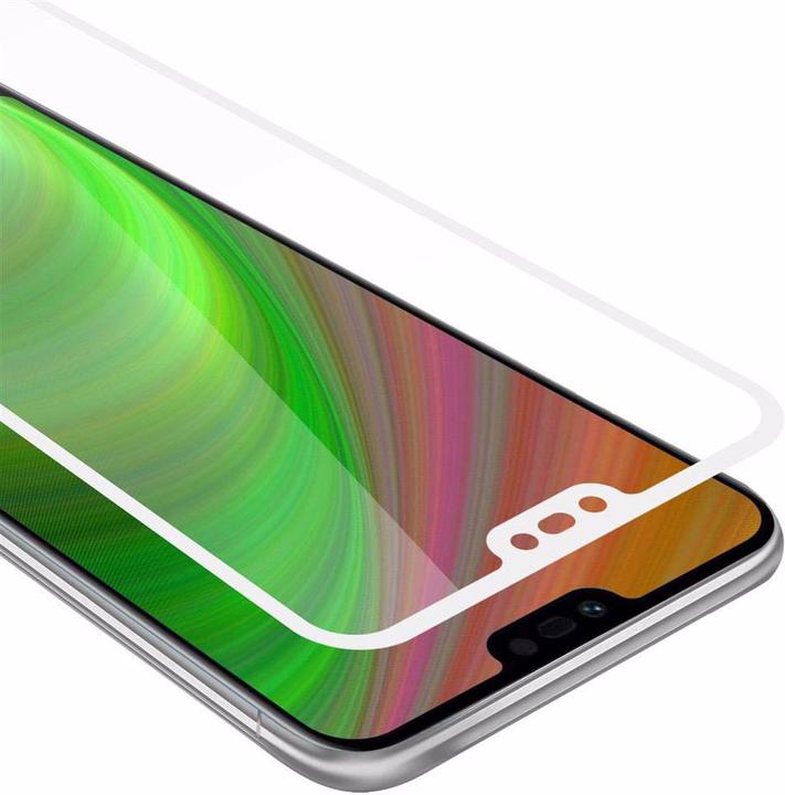 TRANSPARENT with WHITE