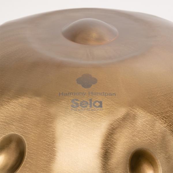 Actual product image Sela SE207 Harmony Handpan C# Kurd Stainless Steel (Handpan)