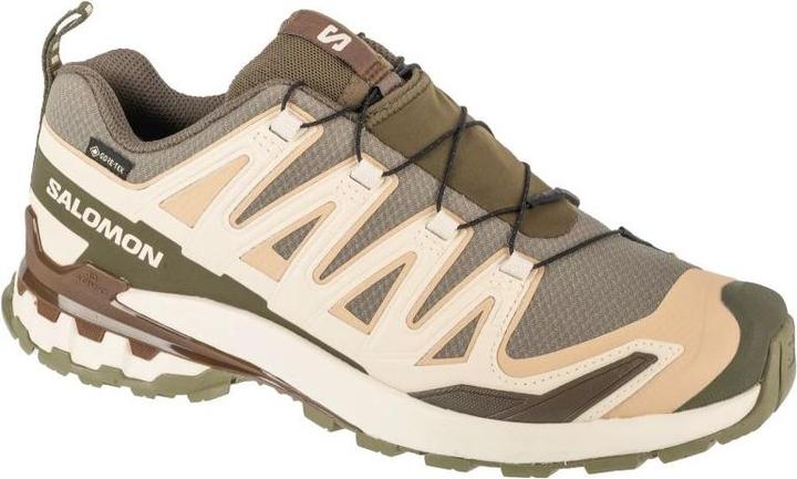 Salomon XA Pro 3D v9 Laufschuhe (46)