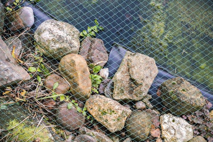 Immagine prodotto Aquagart Teichnetz 24m x 10m Laubnetz Abdecknetz Silonetz robust