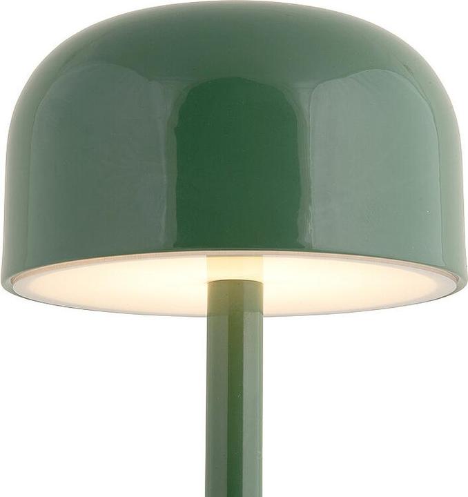 Actual product image Leitmotiv LED Tischlampe JAMES Iron Shine Jungle