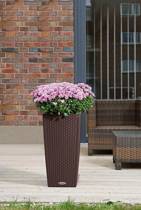 Immagine prodotto Lechuza Vaso da fiori Cubico Cottage 40 (40 cm)
