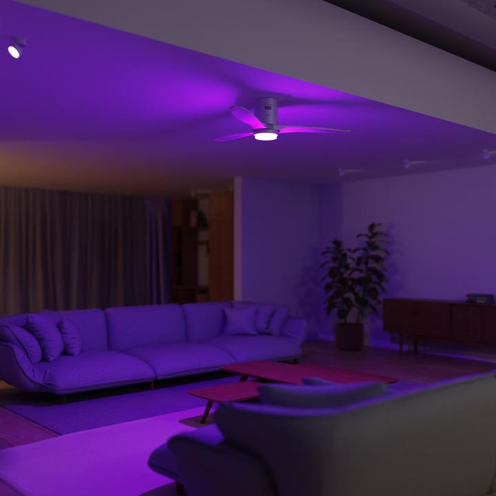 Immagine prodotto Hombli Deckenventilator mit Licht (43 dB)