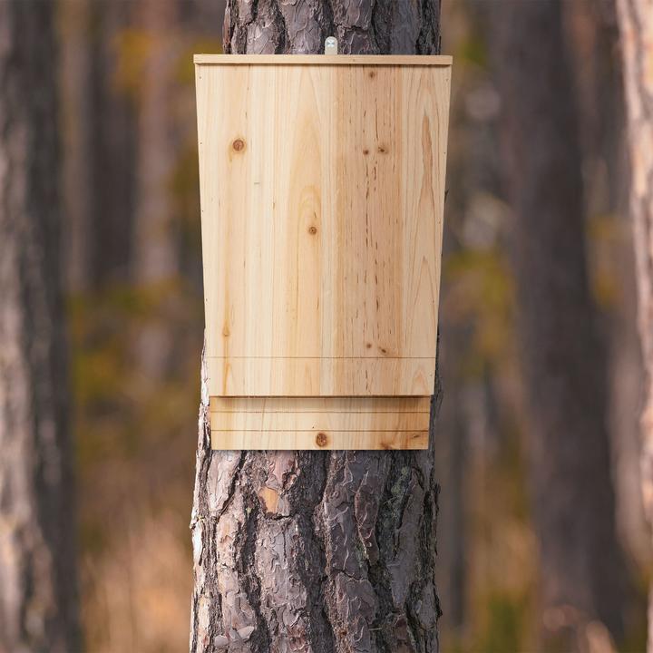 Immagine prodotto Relaxdays Scatola per pipistrelli