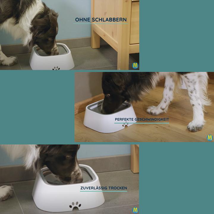 Produktbild MediaShop BelloBuddy Hundewassernapf