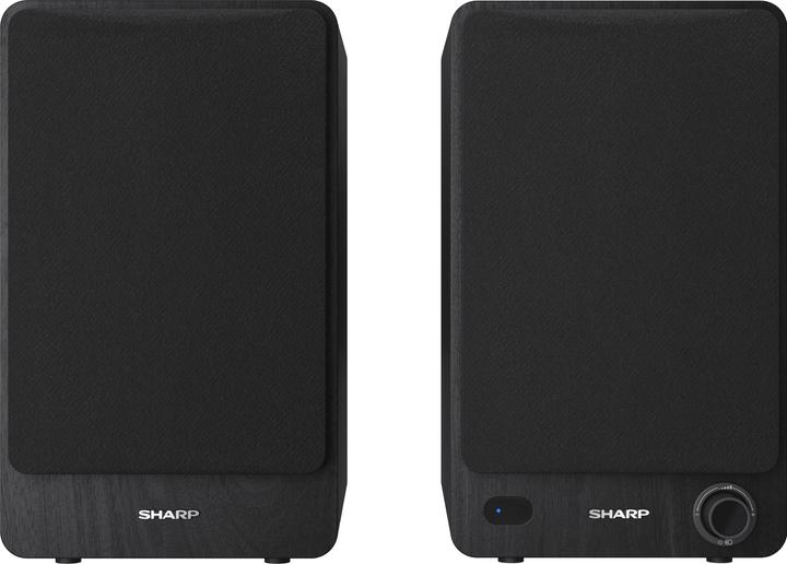 Sharp CP-SS30 (1 Paar, 60 W)