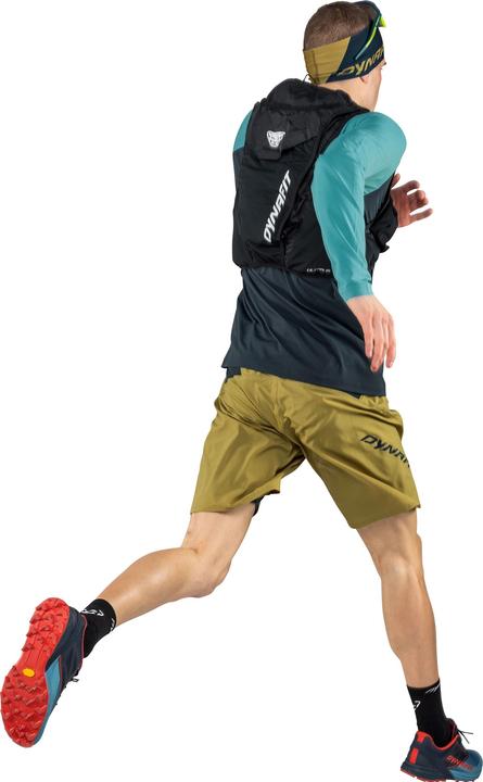 Produktbild Dynafit Alpine Laufschuh (48 1/3)
