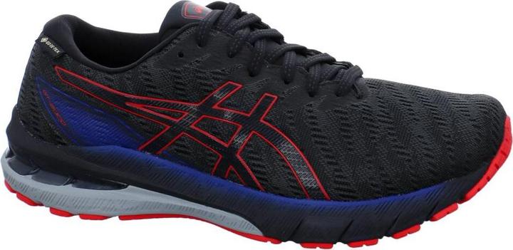 Productafbeelding ASICS Performance GT-2000 10 (43.5)