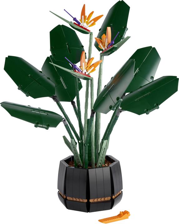 Produktbild LEGO Bird of Paradise (10289, LEGO Seltene Sets)