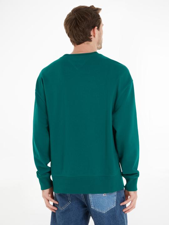 Image du produit Tommy Hilfiger Tommy Jeans Signature Sweater - 97575 (M)