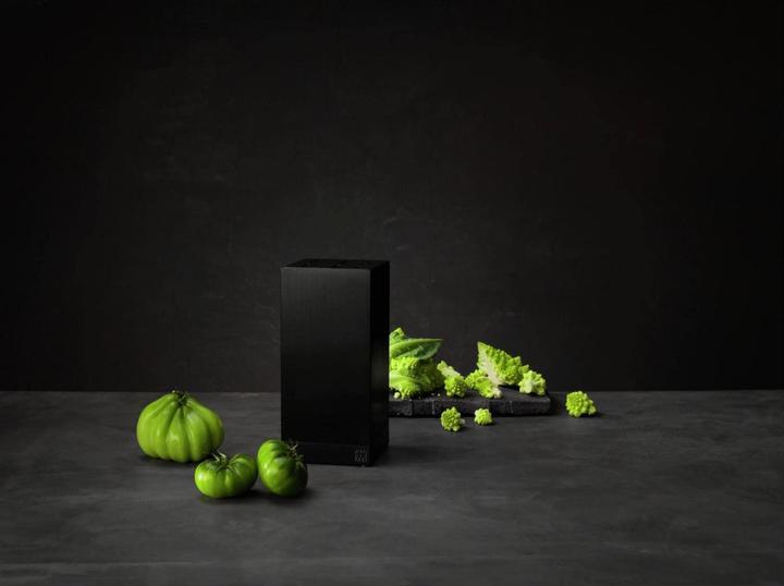 Image du produit Zwilling Bloc de couteaux