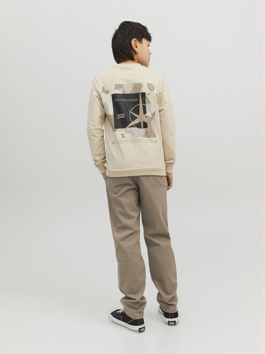 Actual product image Jack & Jones Boys Marco Dave Chino (158)