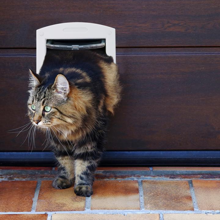 Actual product image Relaxdays 4 Way Pet Door (Magnetic cat flap)