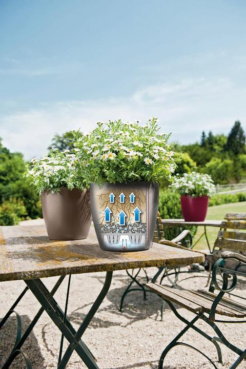 Immagine prodotto Lechuza Colore Classico (27.50 cm)