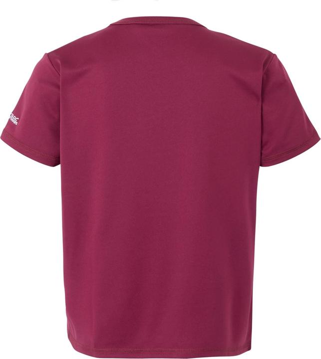 Produktbild Regatta Alvarado IX TShirt (164)