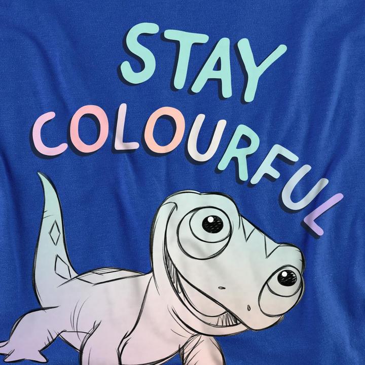 Actual product image Disney Frozen Unisex Adult Stay Colourful Bruni T-Shirt (XXL)