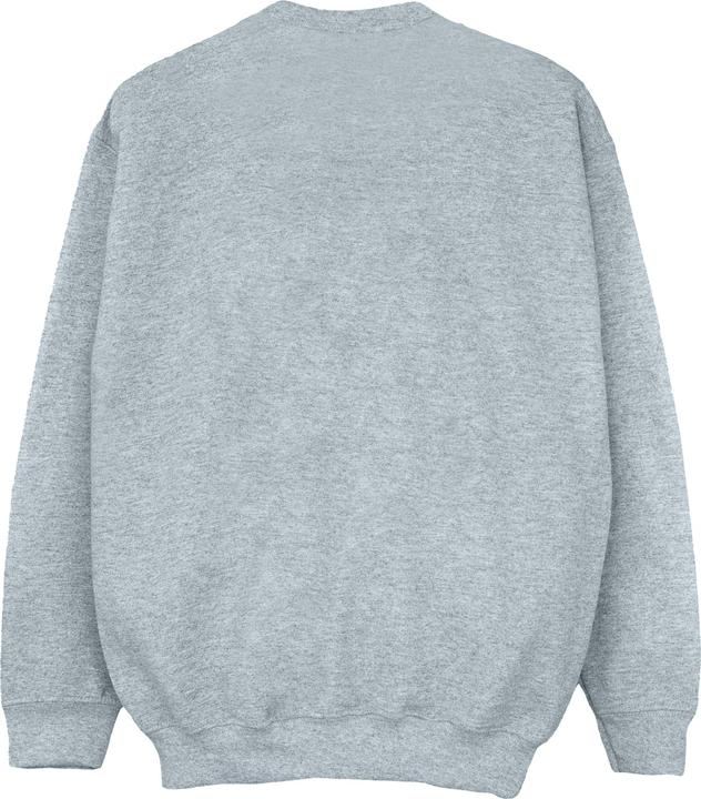 Actual product image Boys Hogwarts Emblem Sweatshirt (140, 146)