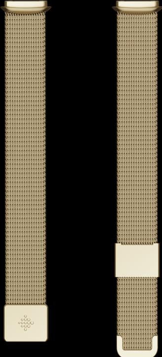Image du produit Fitbit Bracelet en acier inoxydable de luxe (Acier inoxydable, Taille unique)