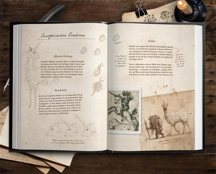 Produktbild Fast verschwundene Fabelwesen. Die sagenhafte Expedition des Konstantin O. Boldt (Deutsch, Florian Schäfer, 2023)