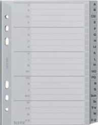 Actual product image Leitz Register PP grey