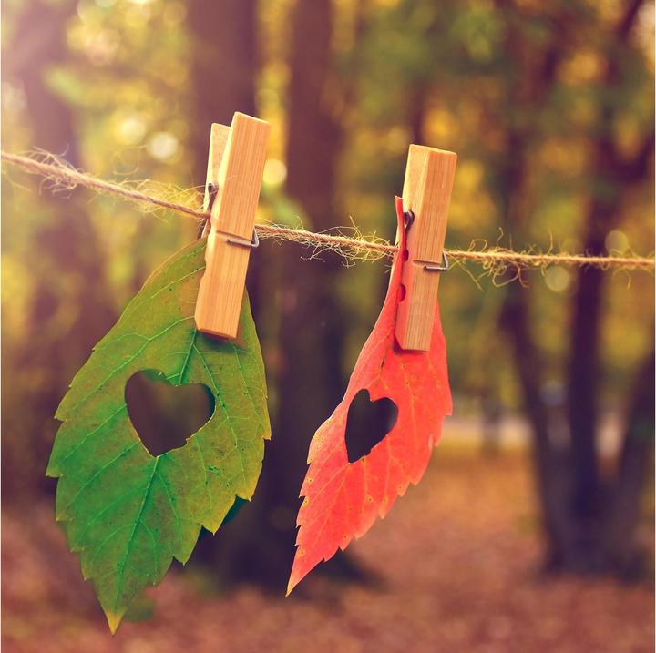 Produktbild Paper + Design Papierservietten Love Fall 33 cm x 33 cm, 20 Stück (20 x, 33 x 33 cm)