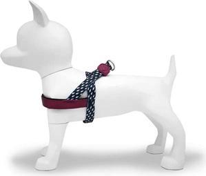 Produktbild MORSO Norwegian Hondentuig Gerecycled Power Flow Zwart (110, Hund, Allgemein)