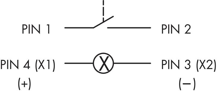 Actual product image Schlegel STLI C005 STLI C005 - Illuminated pushbutton with M12 connection 4-pin