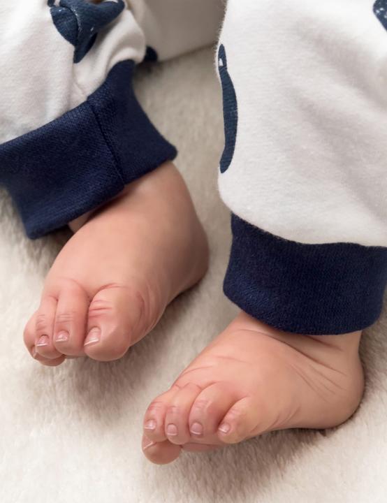 Image du produit Baby Sweets Ours panda (56)