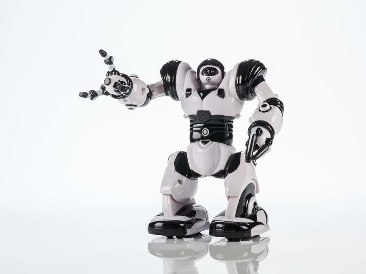 Actual product image WowWee Robot Mini Robosapien