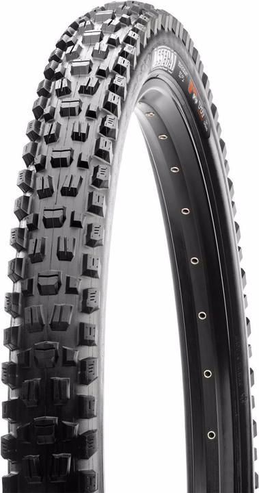 Image du produit Maxxis Assegai WT TR EXO+ 60 TPI 3C Terra (29 x 2.50, 63-622)