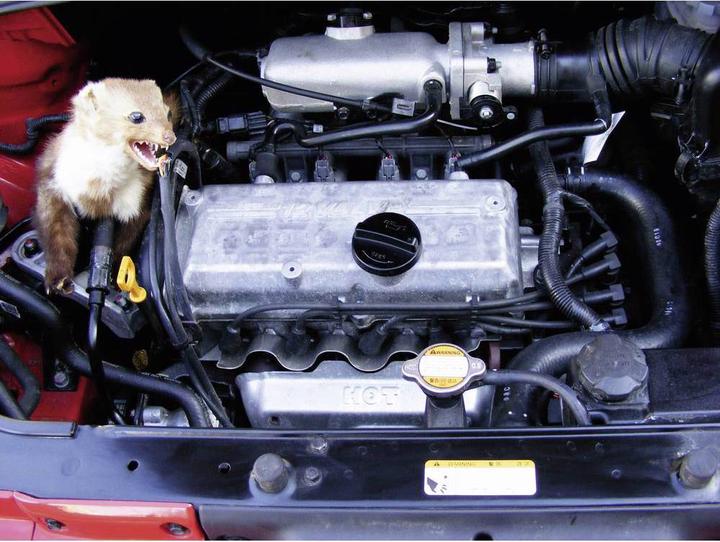 Actual product image Kemo M 186