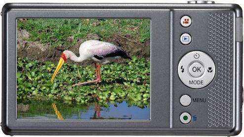 Produktbild Pentax Optio VS20, 16MP, 20x WW-Zoom, HD, 2 Auslöser (1/2,3'')