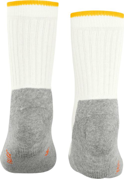 Immagine prodotto Falke Active Everyday SO (35 - 38)