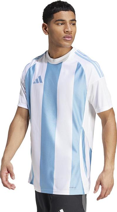 Actual product image adidas Striped 24 Jersey (XL)