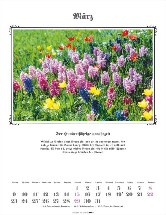 Actual product image Der Hundertjährige Kalender 2026 (30 x 39 cm, German)