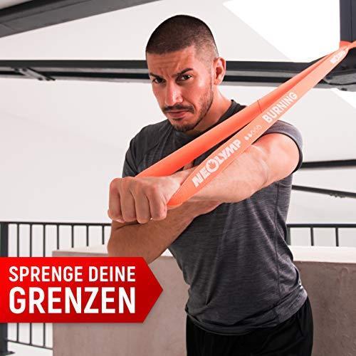 Produktbild Neolymp Terrabänder (1.03 m, Mittel, Stark, Leicht)