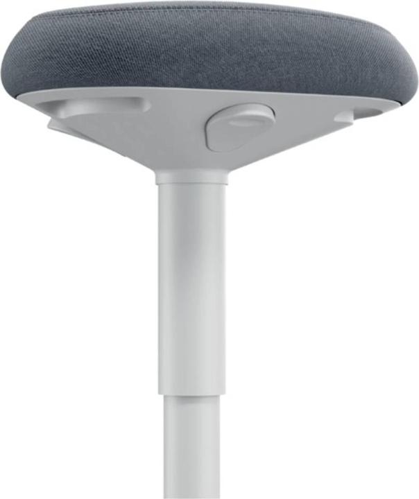 Image du produit Leitz Ergo Active