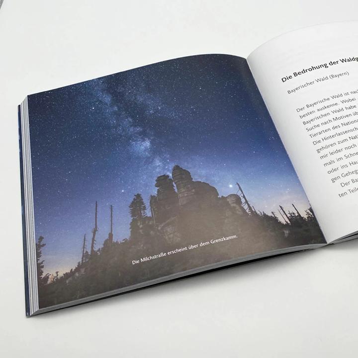 Immagine prodotto Nachts im Wald (Tedesco, Kilian Schönberger, 2020)