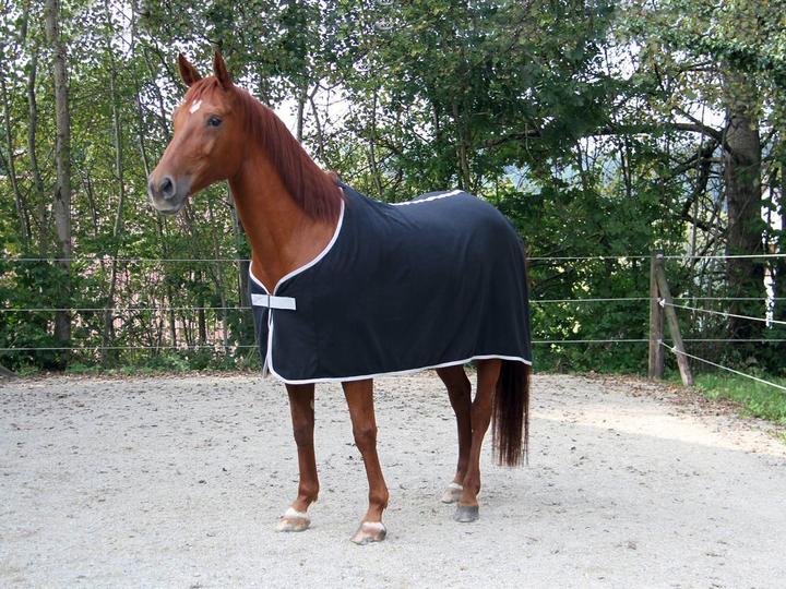 Produktbild Kerbl RugBe Fleecedecke (155 cm)