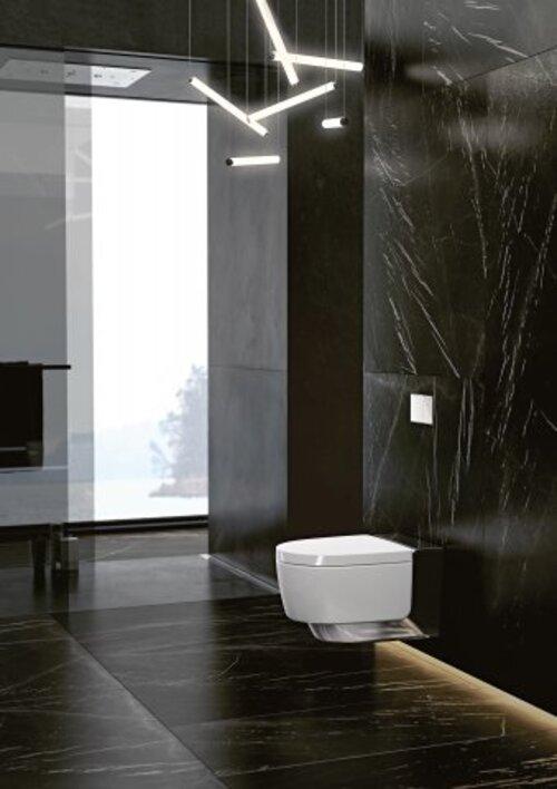Actual product image Geberit Aquaclean Mera Classic