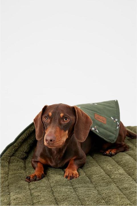 Image du produit Joules Couverture pour chien Abeille