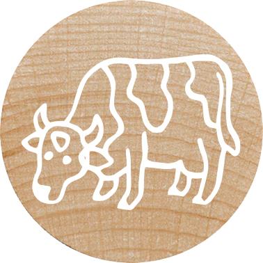 Actual product image Colop WOODIES Stempel-Set "farm Animation" retail