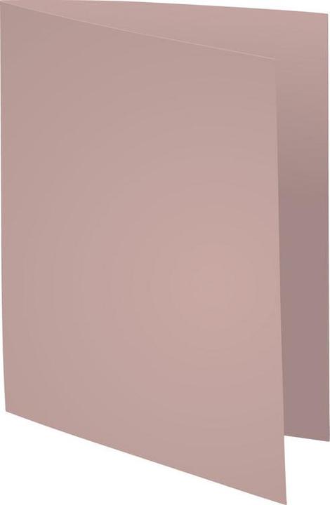 Immagine prodotto Exacompta Scrapbook - Copertine di file (24 x 32 cm, 100 x)