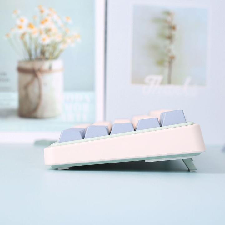 Actual product image Varmilo Minilo VXT67 Eucalyptus (US, Wireless, Cable)