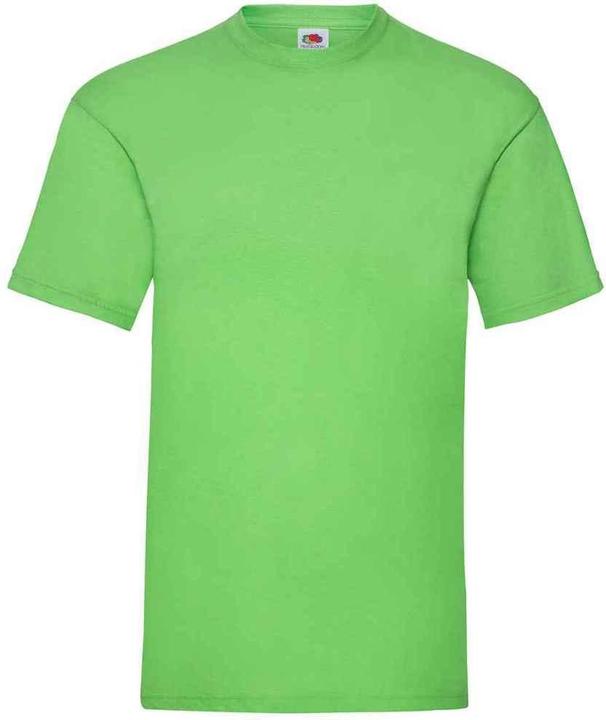 Fruit of the Loom Valueweight TShirt (L)