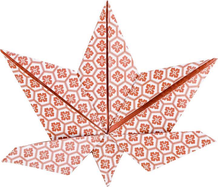 Produktbild Clairefontaine Origami Herbst (70 g/m², 60 x)